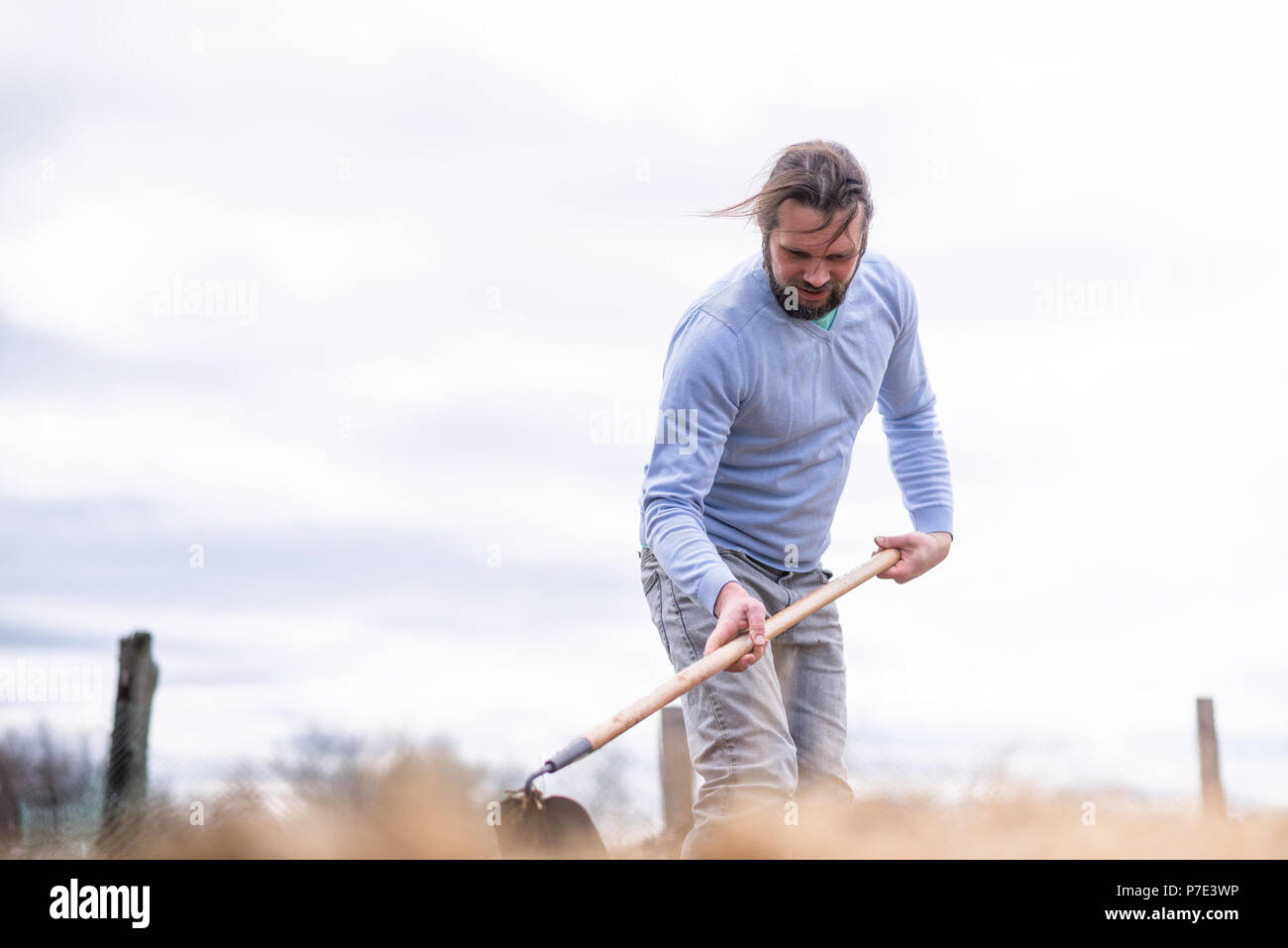 Mature man hoeing in garden Stock Photo