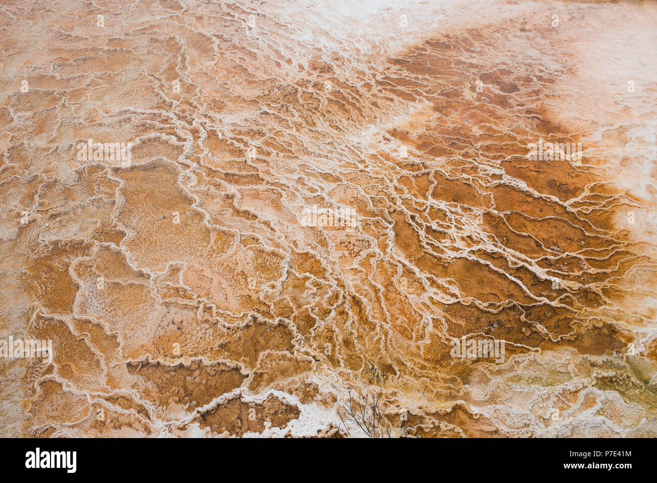 Overhead view of yellow mineral deposit, Yellowstone National Park, Wyoming, USA Stock Photo
