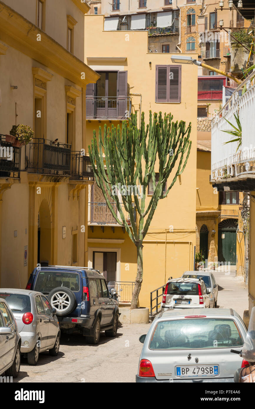 Italy Sicily Agrigento narrow road street scene parked cars giant cactus tree balconies terraced houses flats apartment blocks condos blinds canopies Stock Photo