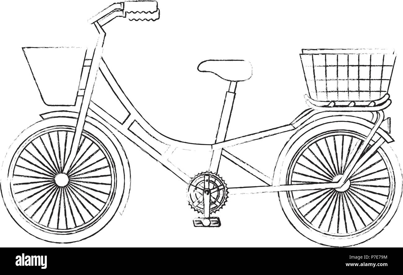 classic bicycle with basket recreation vector illustration sketch Stock