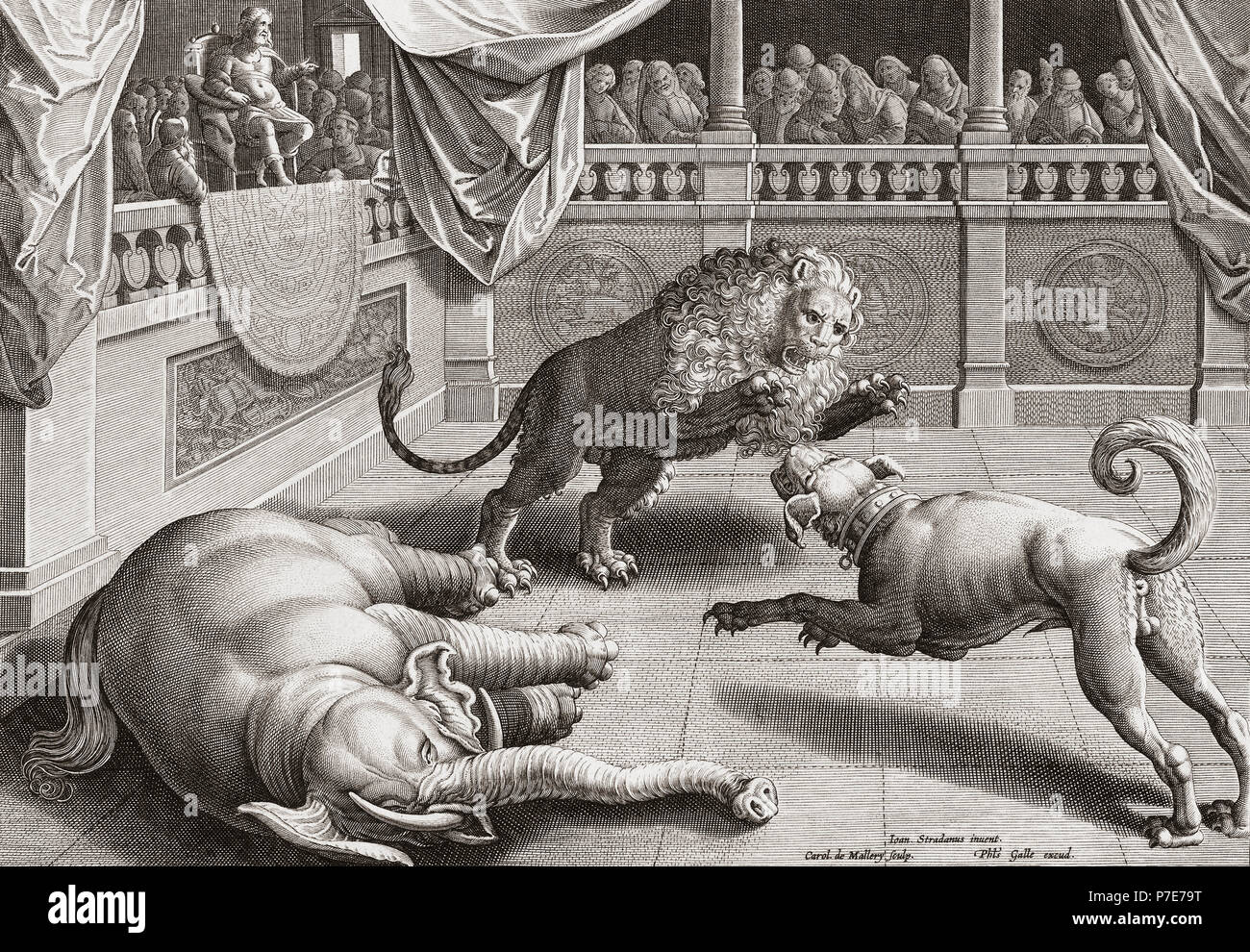 Alexander the Great watching animals fight. 16th century engraving after a work by Jan van der Straet, 1523– 1605.  (Also known as Giovanni Stradano, van der Straat, Stradanus,Stratensis) Stock Photo