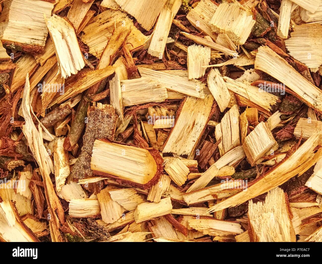 Pile of wood chips and sawdust can be used for biofuel manufacturing
