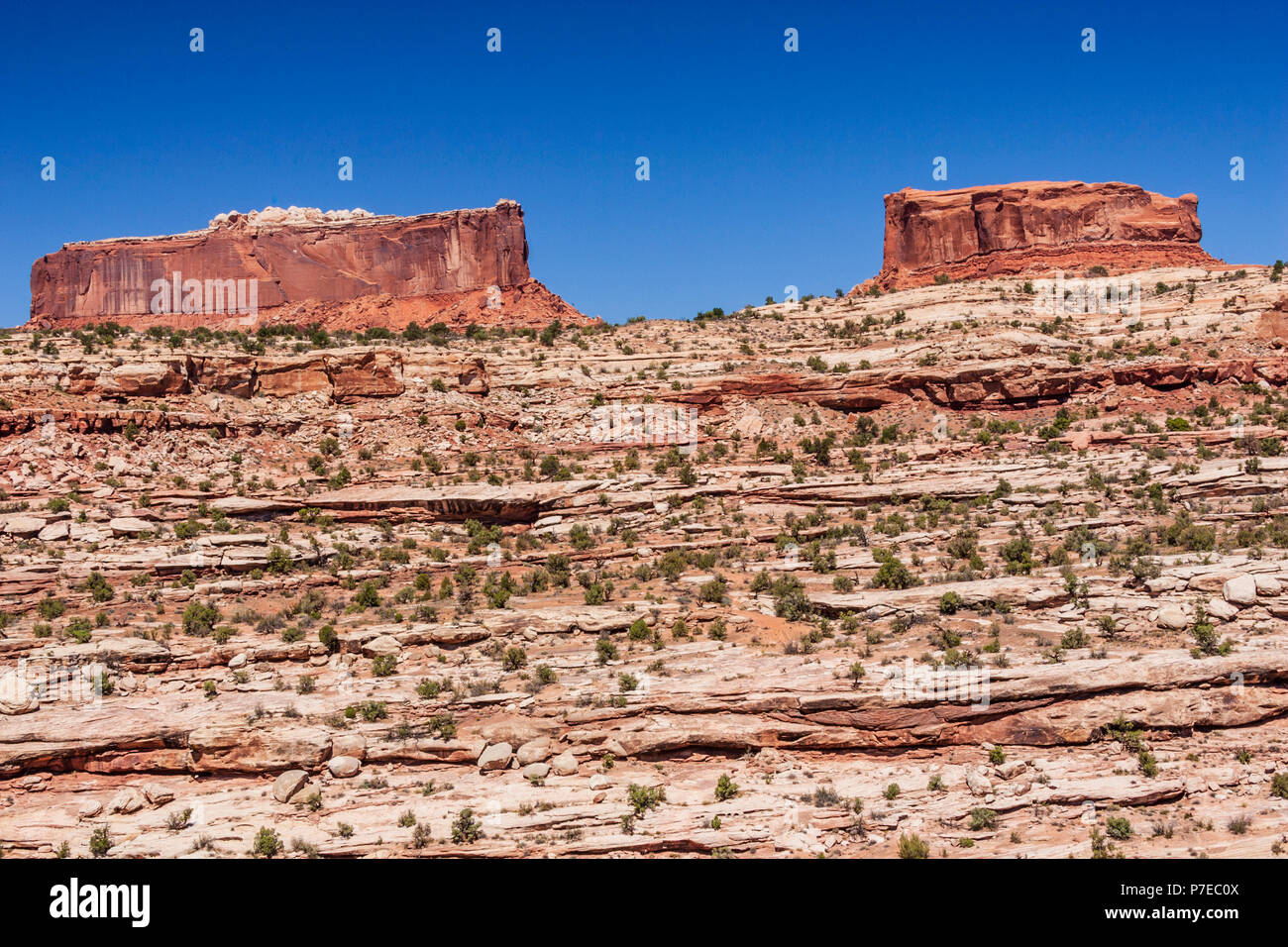 Monitor and Merrimac Buttes in Canyonlands National Park in Utah
