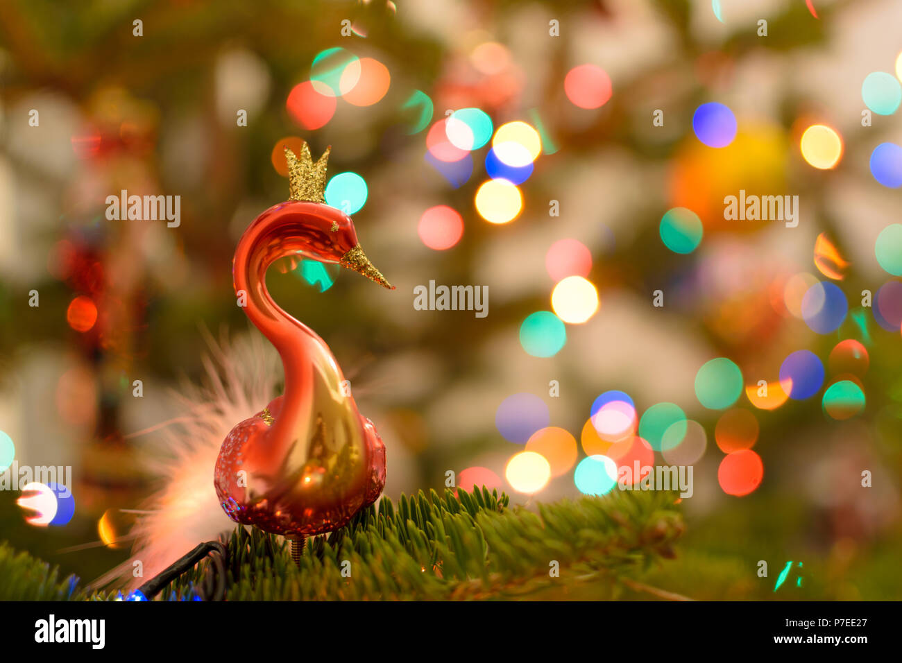 Christmas light swan hires stock photography and images Alamy