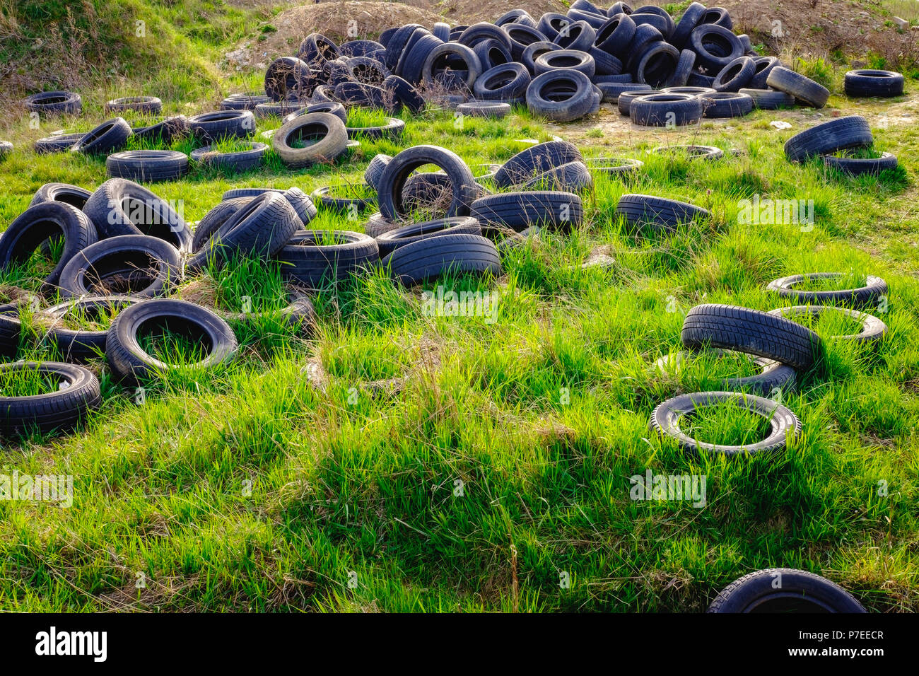 Landscape image of polluted environment with old used car tyres Stock Photo