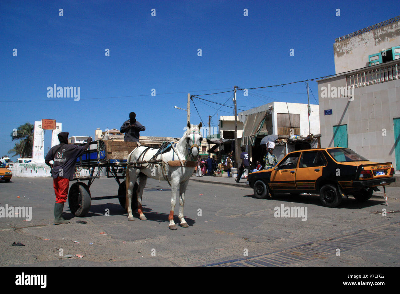 White horse in front of a cart standing on the main street of Saint-Louis-du-Sénégal Stock Photo