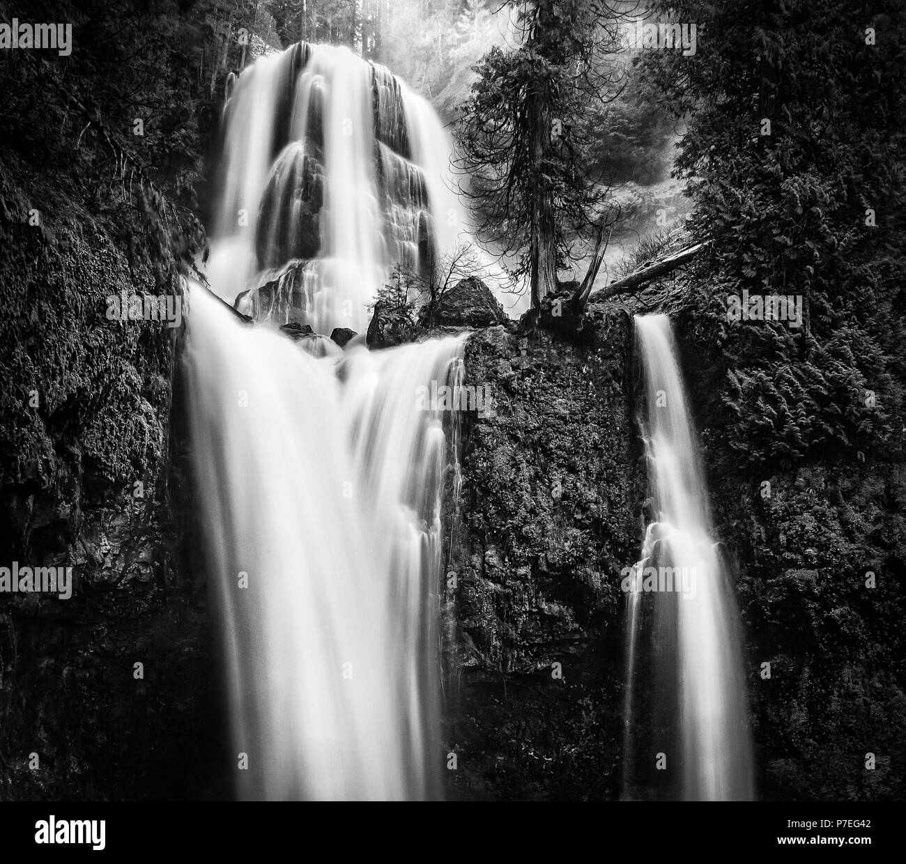 Black and white, high contrast, falls Creek Falls. An impressive, double-tiered, 335-foot high waterfall in the Gifford Pinchot National Forest. Stock Photo