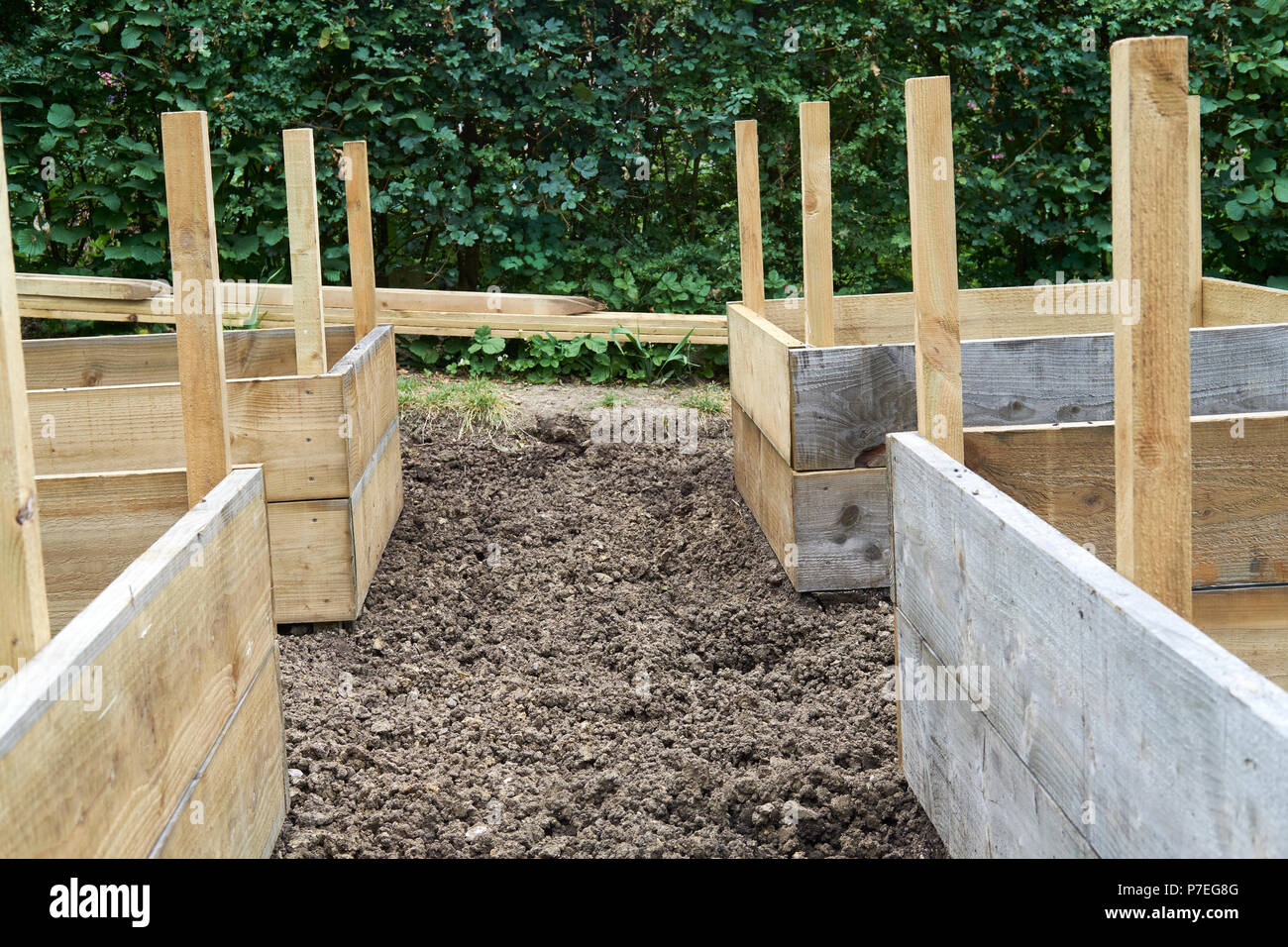 Timber raised bed construction in a vegetable garden, UK Stock Photo