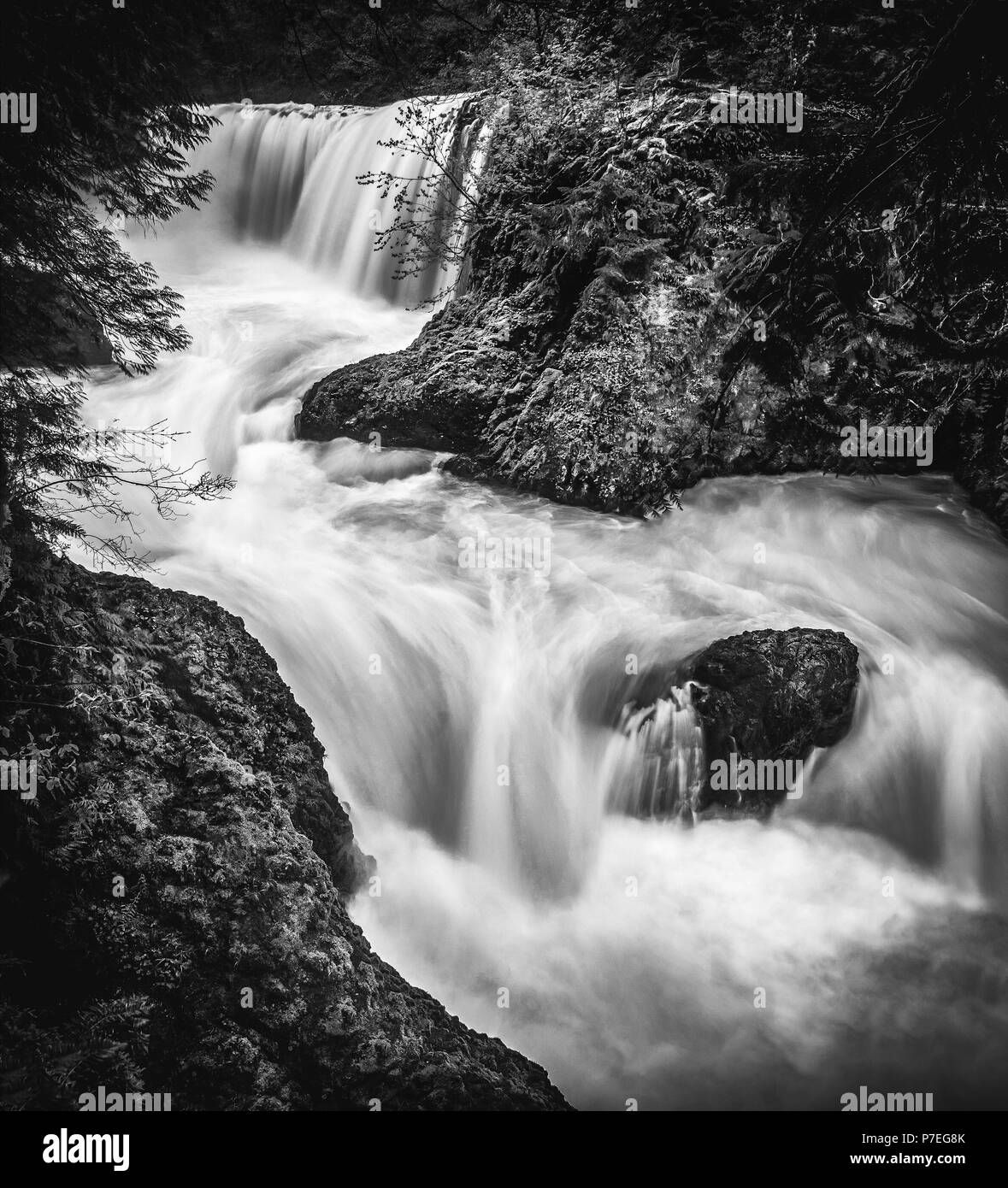 Black and white, high contrast, flowing Spirit Falls waterfall on the Washington side of the Columbia River Gorge, near Portland Oregon. Stock Photo