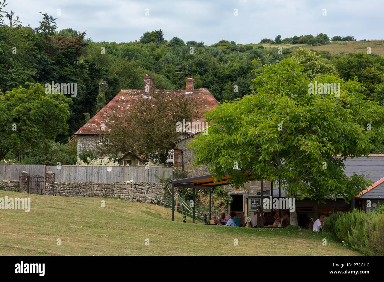 the garlic farm, newchurch, isle of wight, england, uk Stock Photo Alamy