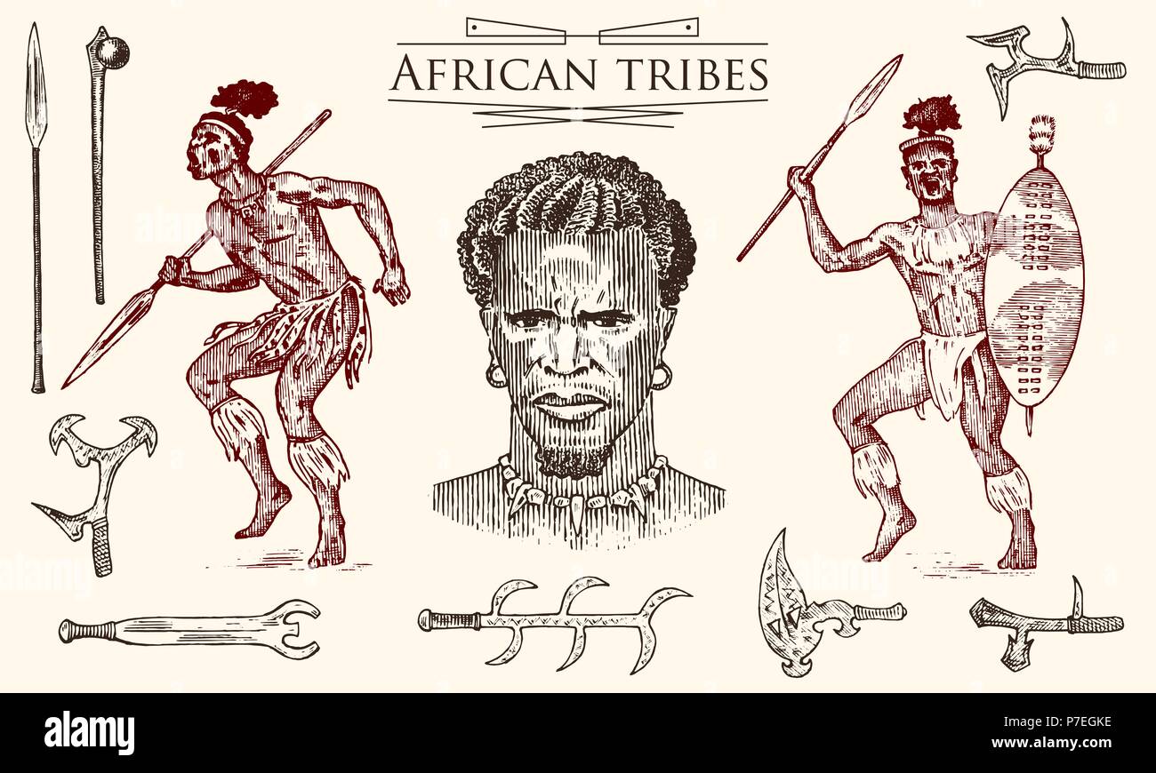 African tribes, portraits of Aborigines in traditional costumes. Australian Warlike black native man with spears and weapons. Engraved hand drawn old monochrome Vintage sketch for label. Stock Vector