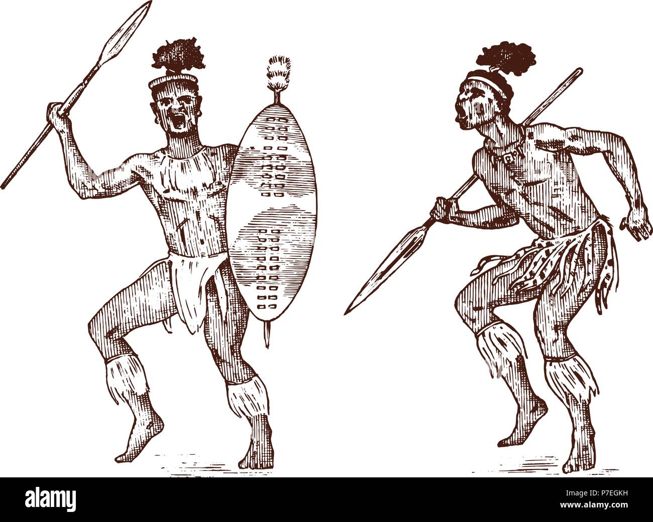 African tribes, Aborigines in traditional costumes. Australian Warlike black native man with spears and weapons. Engraved hand drawn old monochrome Vintage sketch for label. Stock Vector