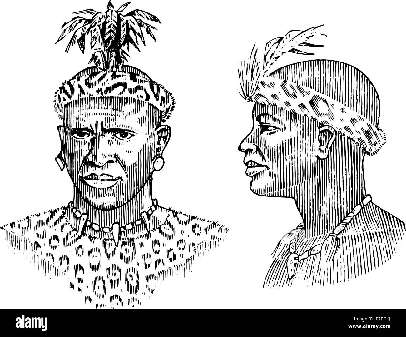 African tribes, portraits of Aborigines in traditional costumes. Australian Warlike black native man. Engraved hand drawn old monochrome Vintage sketch for label. Stock Vector
