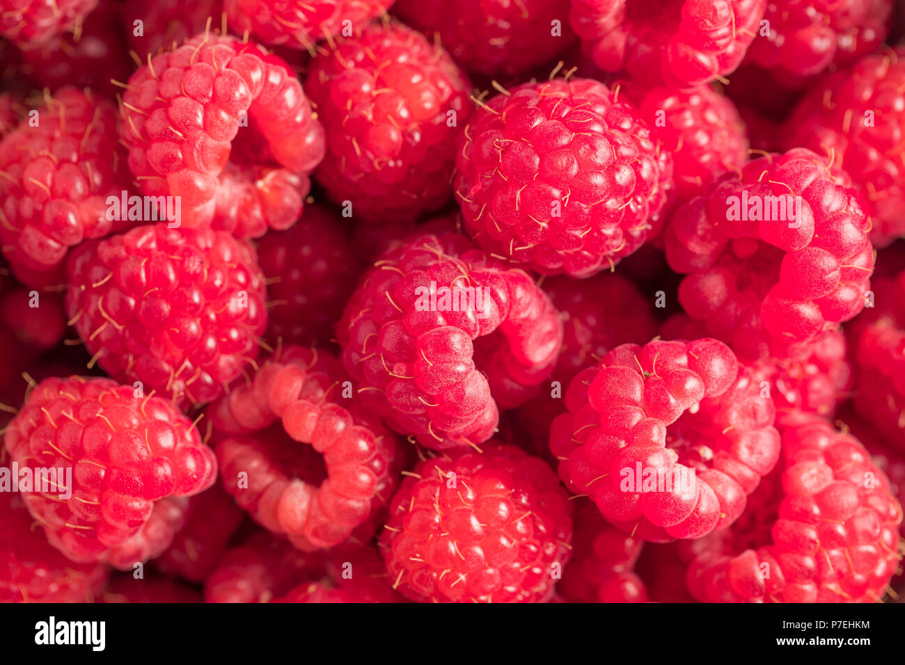 Freshly picked raspberries Stock Photo