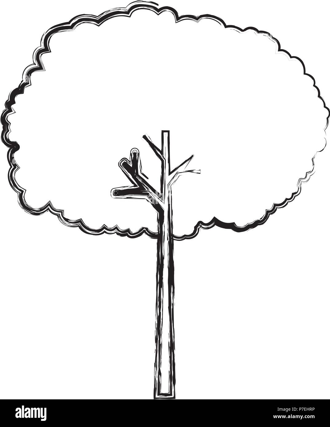 tree plant isolated icon Stock Vector Image & Art - Alamy