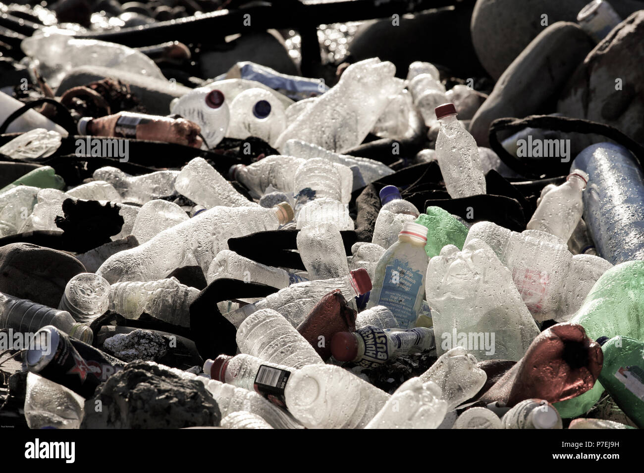 Empty single use plastic drinking bottles on rocks at Hout Bay, Cape
