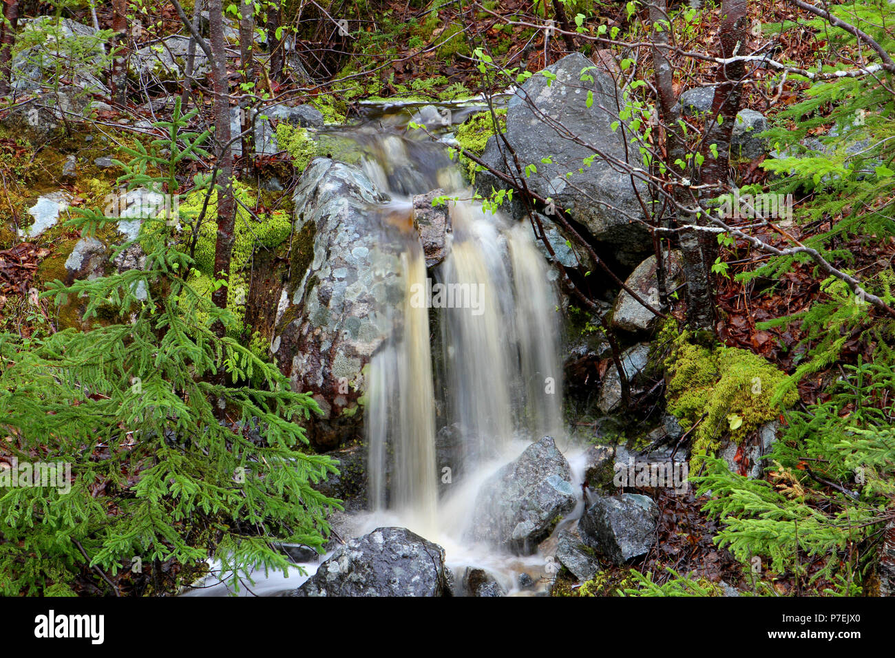 Travelogue. Travel Newfoundland, Canada.  Along highway #470.   LANDSCAPES, SEASCAPES, AND WATERFALLS,  FROM PORT AUX BASQUE TO ROSE BLANCHE Stock Photo