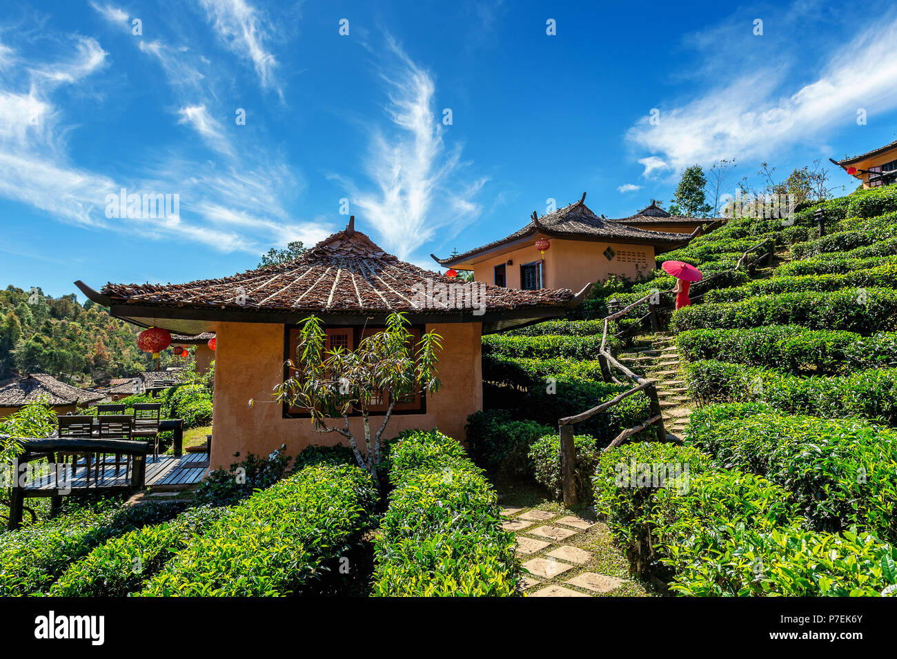 Thai tea house hi-res stock photography and images - Alamy