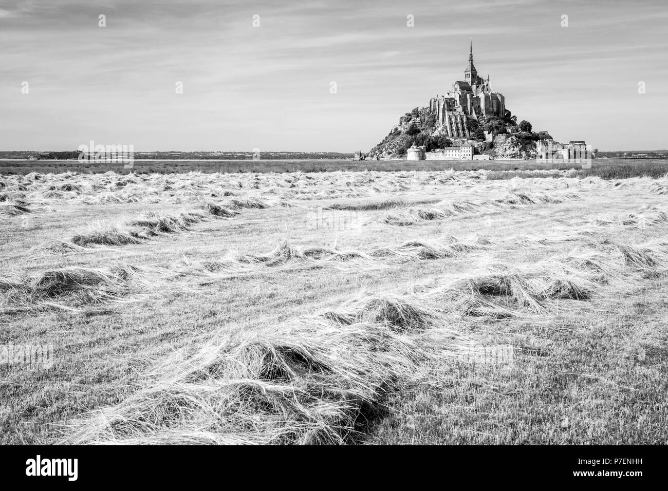 The Mont Saint-Michel tidal island in Normandy, France, with hay windrows drying in a field in the foreground under a blue sky with fibrous clouds. Stock Photo