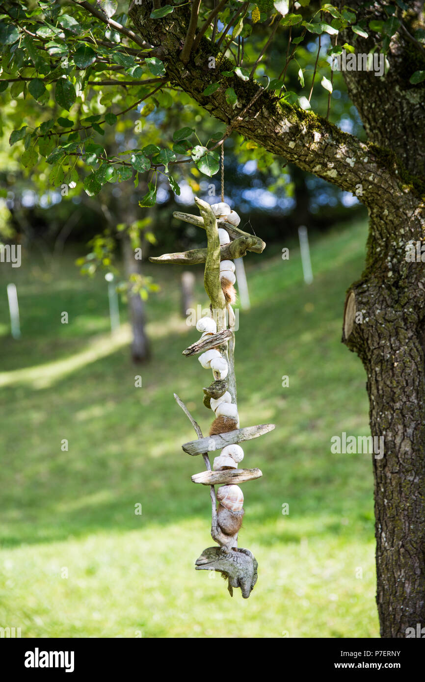 Home made Dried Wood and Snails Tree Hanging Decoration Stock Photo