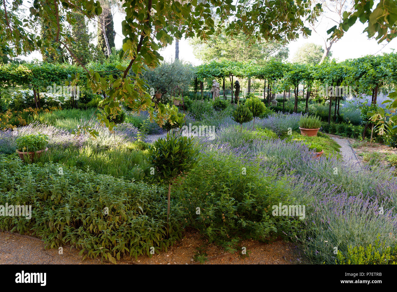 Pergola High Resolution Stock Photography and Images - Alamy