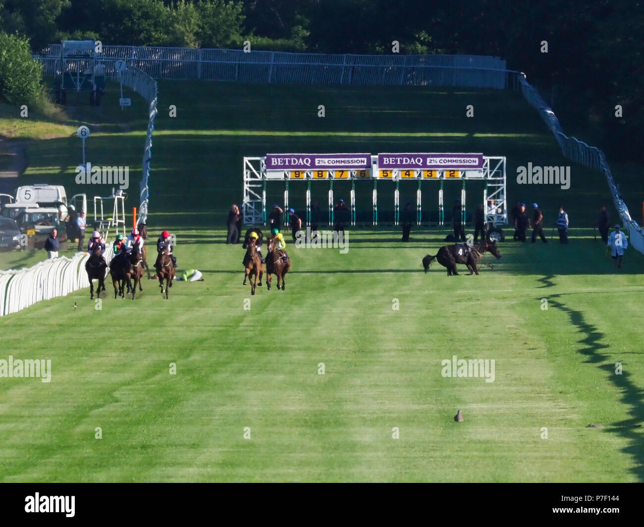 Horse racing lingfield racecourse hi-res stock photography and images ...