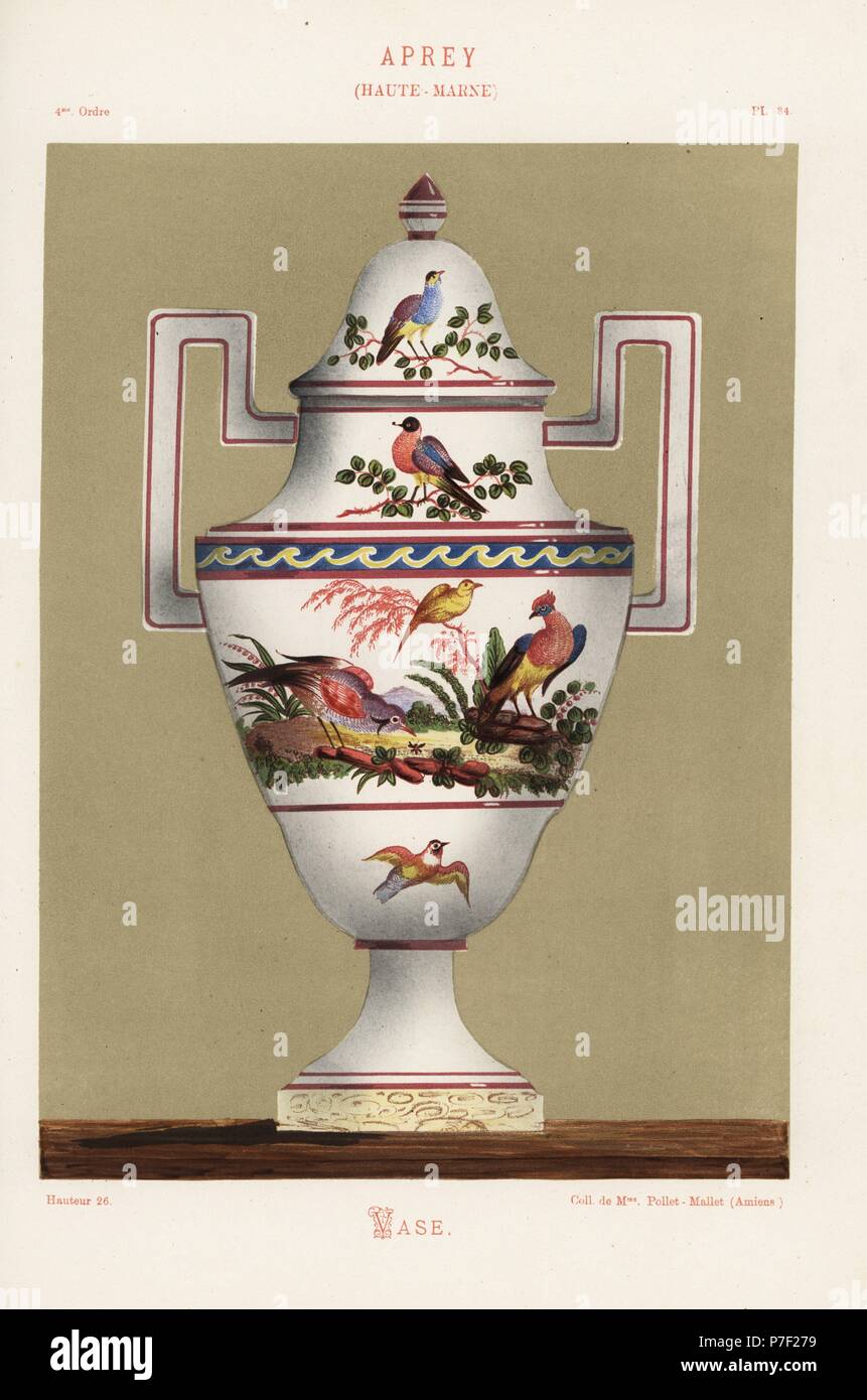 Vase from Aprey, Haute-Marne, France, decorated with exotic birds and foliage. Hand-finished chromolithograph from Ris Paquot's General History of Ancient French and Foreign Glazed Pottery, Chez l'Auteur, Paris, 1874. Stock Photo
