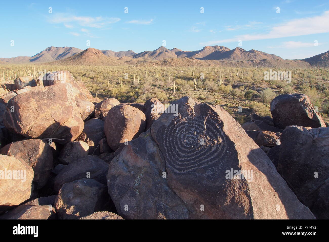Spiral Hohokam petroglyph on Signal hill with Saguaros and mountains in the background in Saguaro National Park near Tucson, Arizona, United States. Stock Photo
