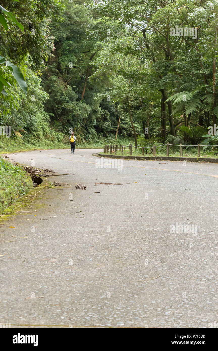 Woman hiking walking alone hi-res stock photography and images - Alamy