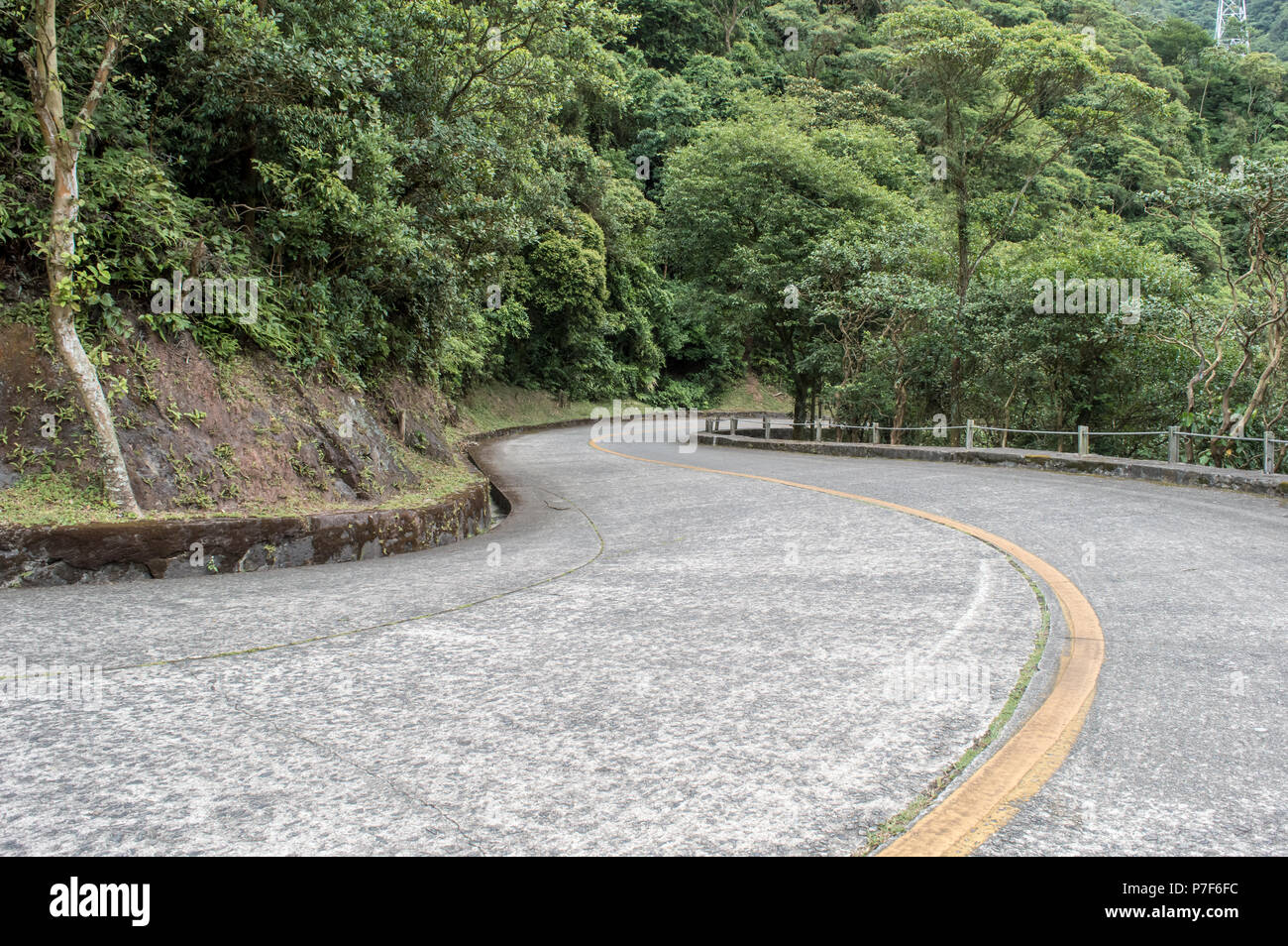 An 'S' curve in a road surrounded by nature Stock Photo