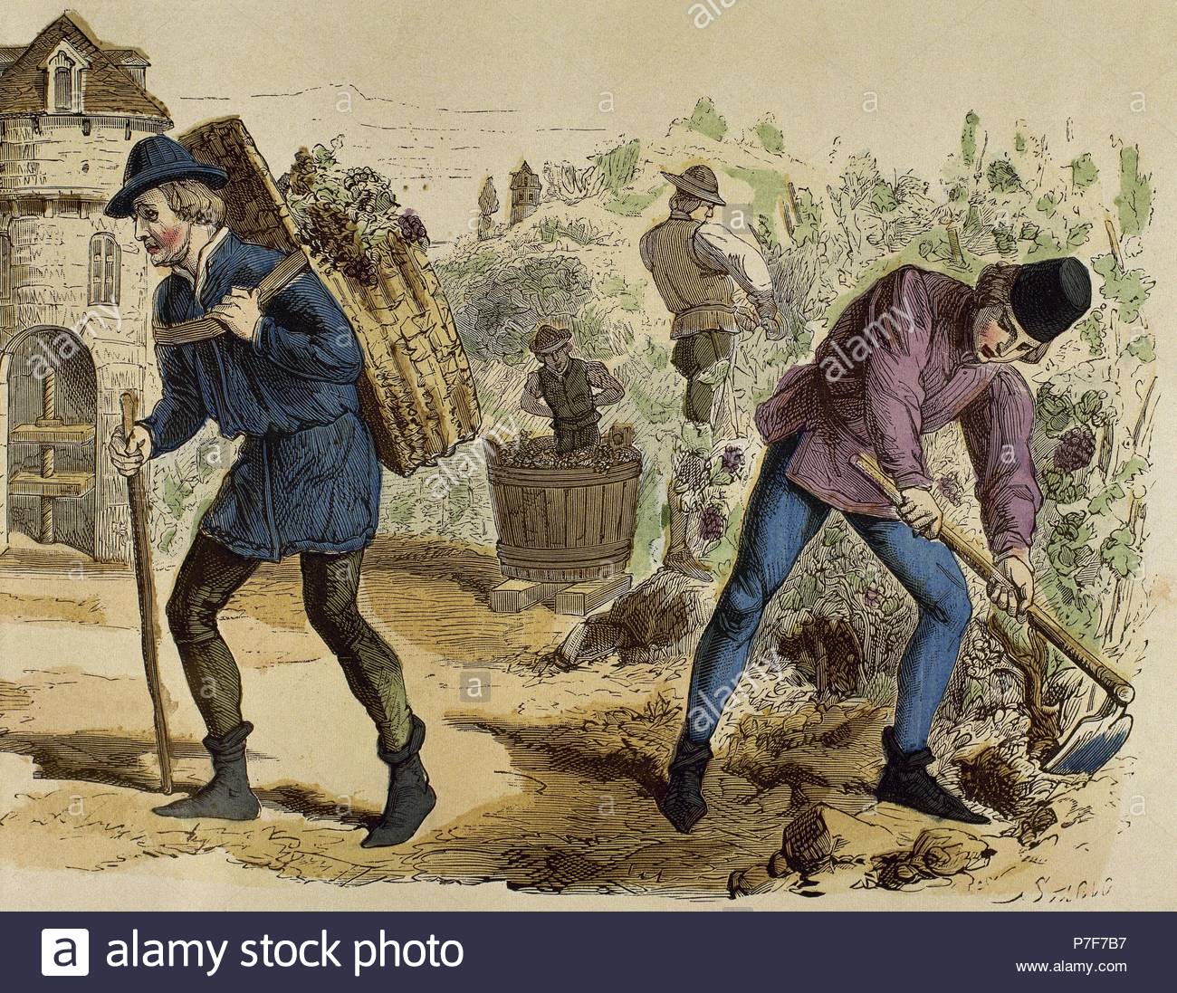 Medieval French Peasant Stock Photos & Medieval French Peasant Stock