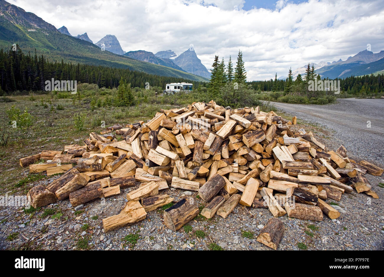 Firewood pile at campsite in Banff National Park, Alberta, Canada Stock