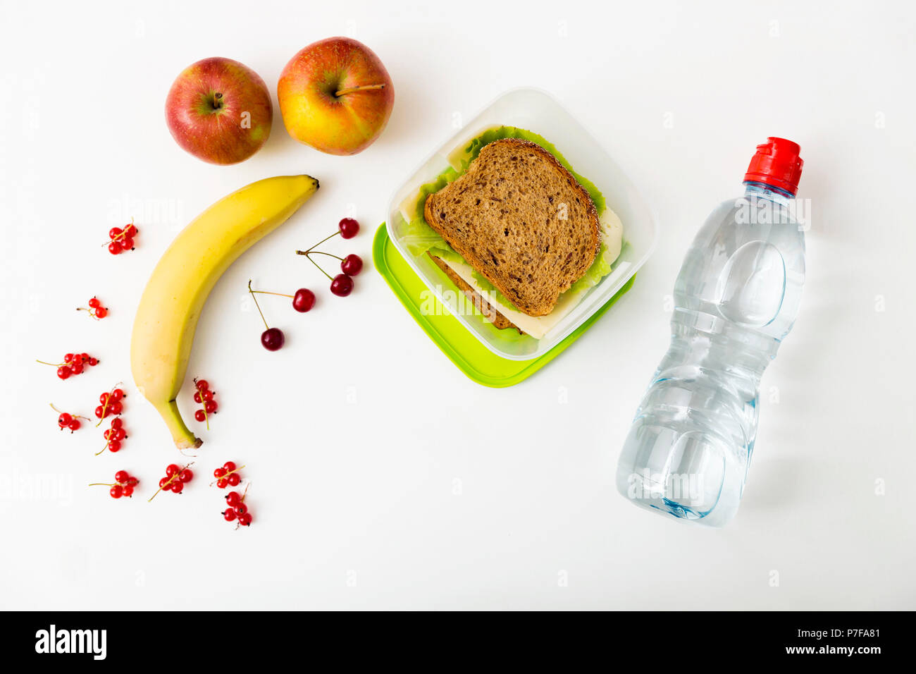 Healthy lunch box with cheese and lettuce sandwich and fresh vegetables