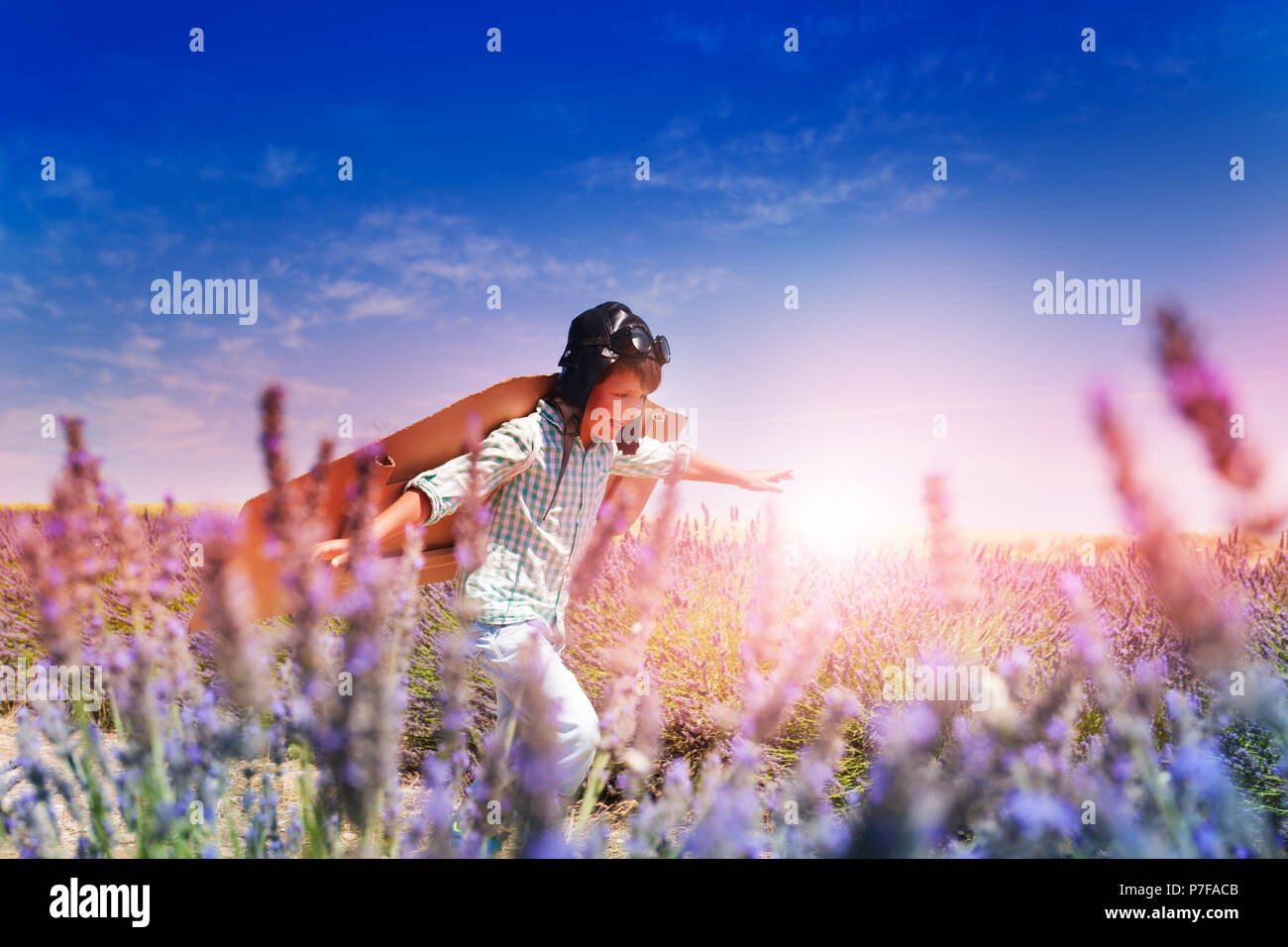 Boy pilot running through the lavender meadow Stock Photo