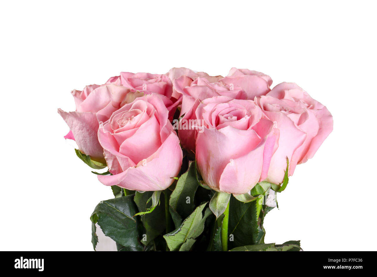 Pink roses bouquet isolated on white background Stock Photo - Alamy