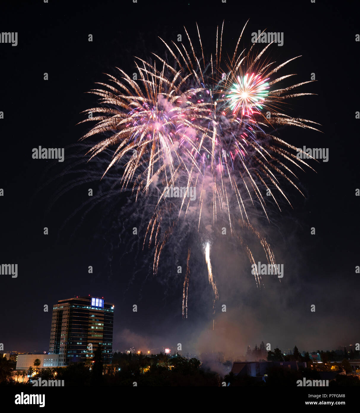 People gather to watch the fireworks in Discovery Meadow Park in San