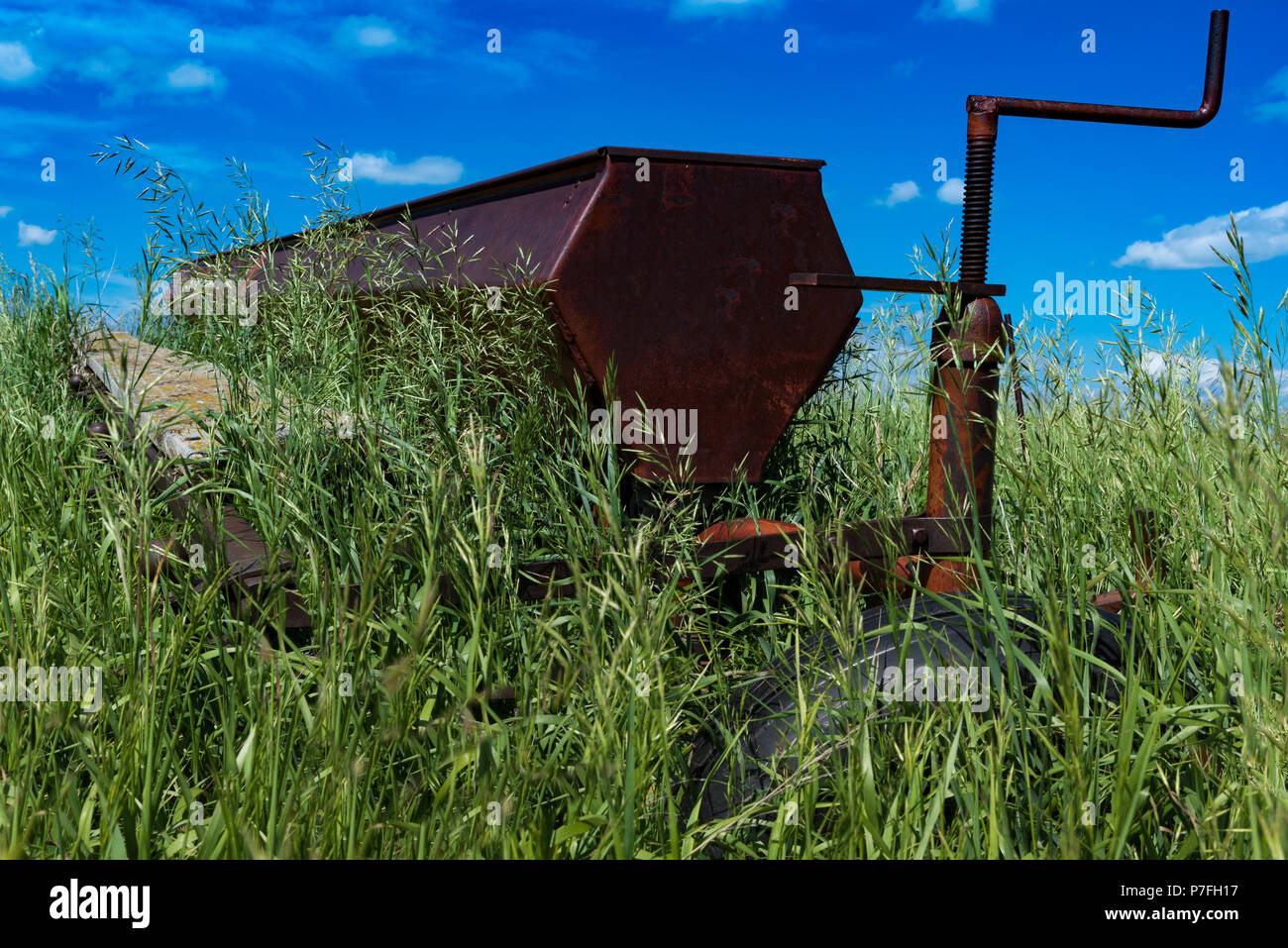 Vintage farming disc harrow in a field surrounded by tall grass outside of Swift Current, Saskatchewan, Canada Stock Photo
