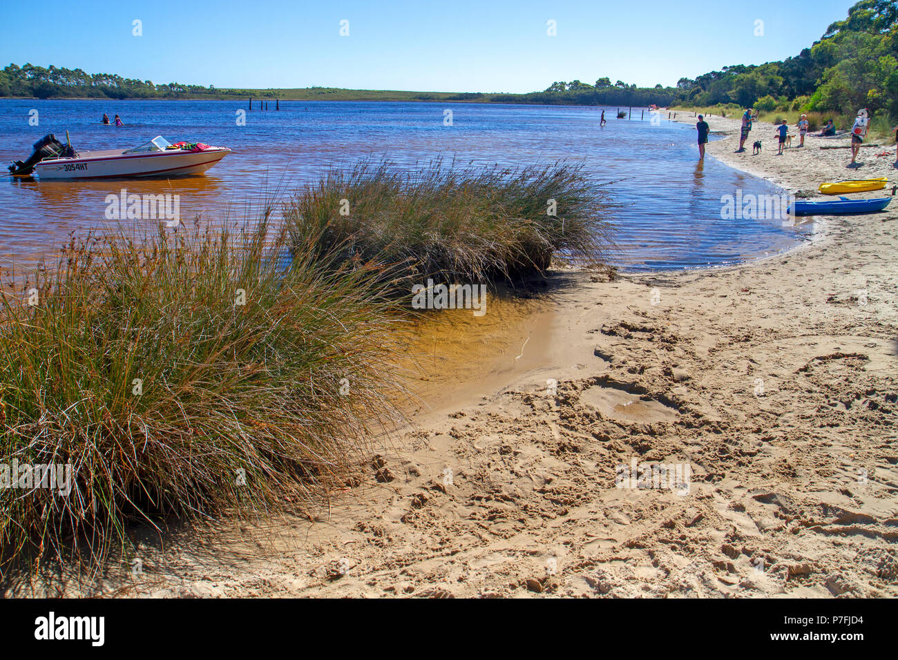 Cooling off in Macquarie Harbour at Strahan Stock Photo