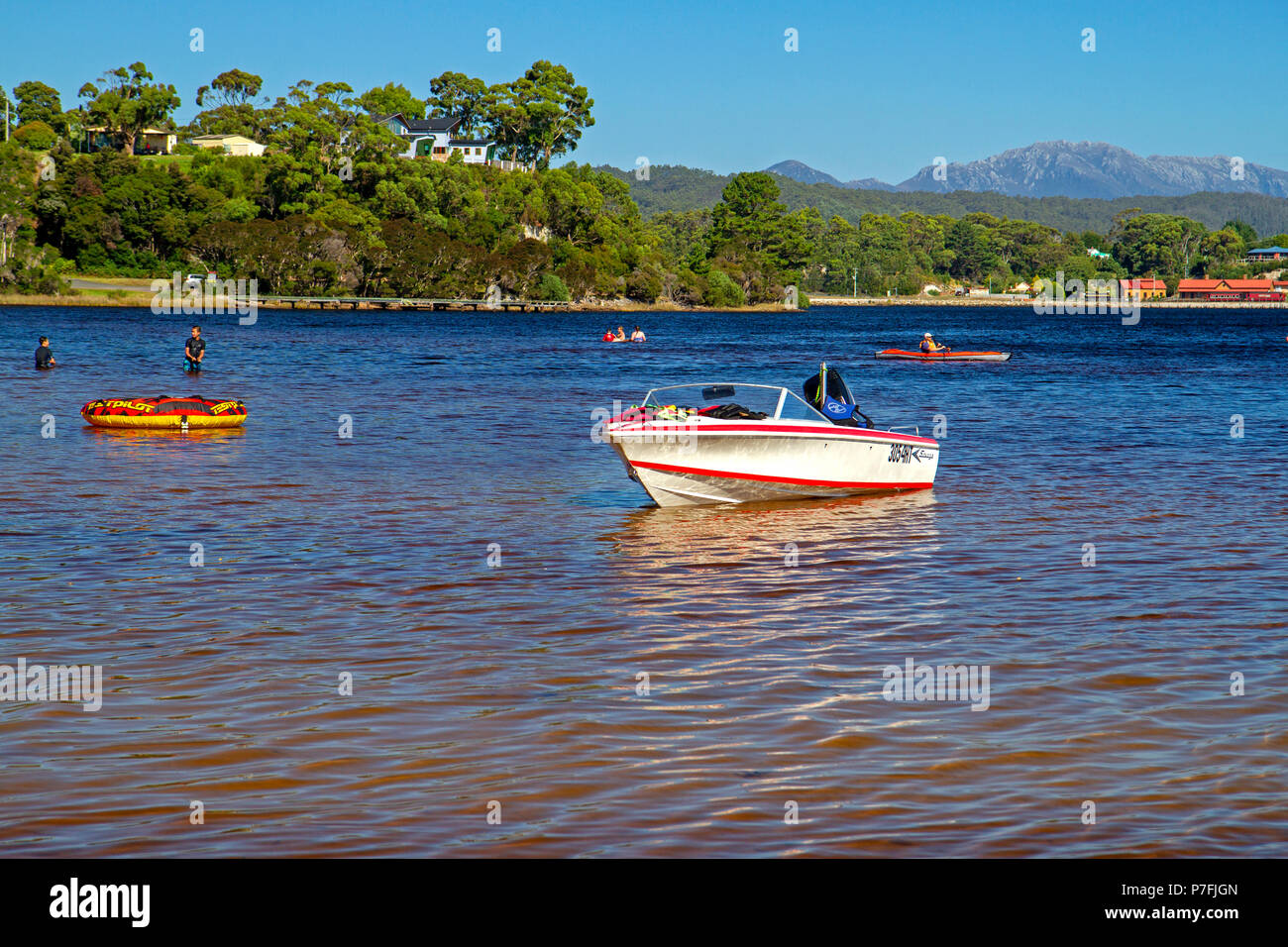 Cooling off in Macquarie Harbour at Strahan Stock Photo