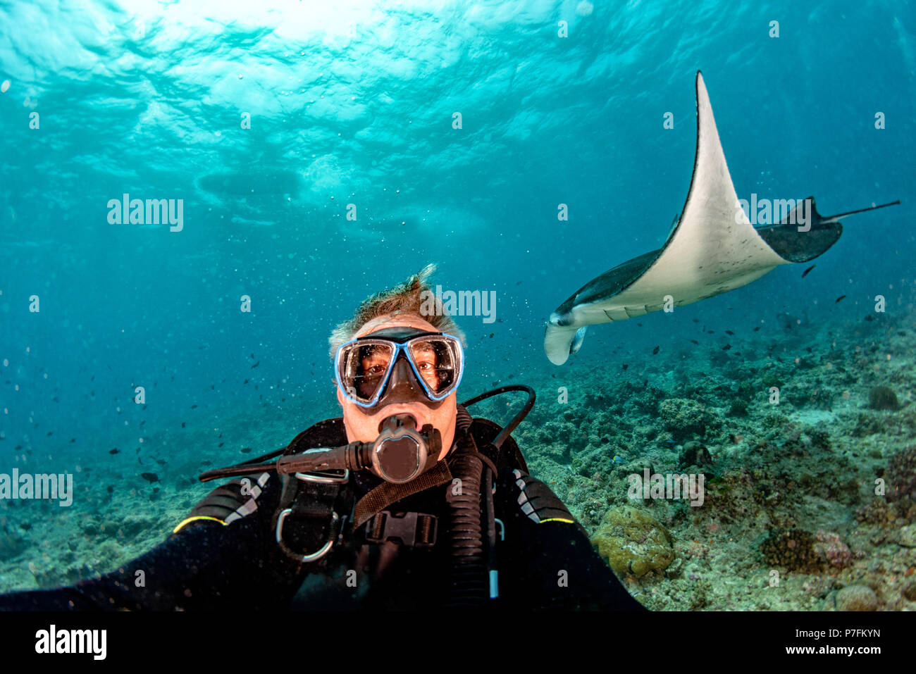happy scuba diver and Manta in the blue background while diving maldives  Stock Photo - Alamy