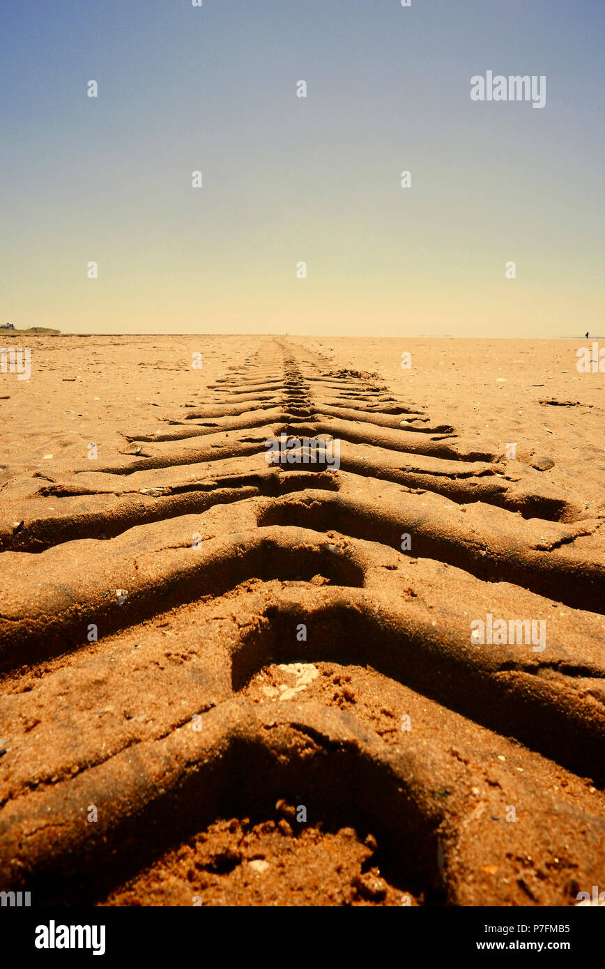 Tractor tyre tracks in sand disappearing into the horizon Stock Photo