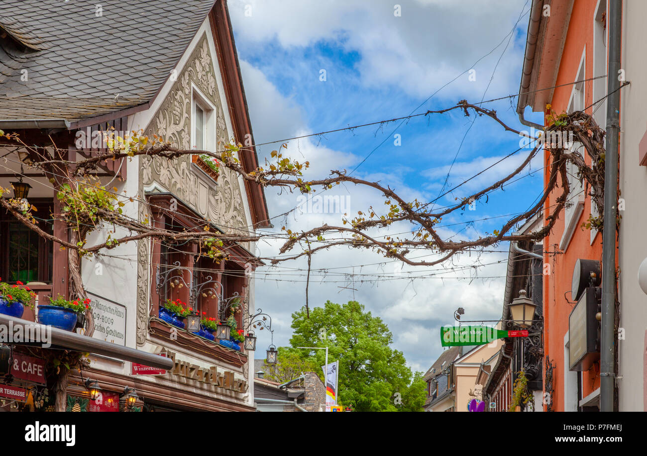Ruedesheim Germany circa Mai 2018 Rüdesheim t Rom antic Cities at the ...