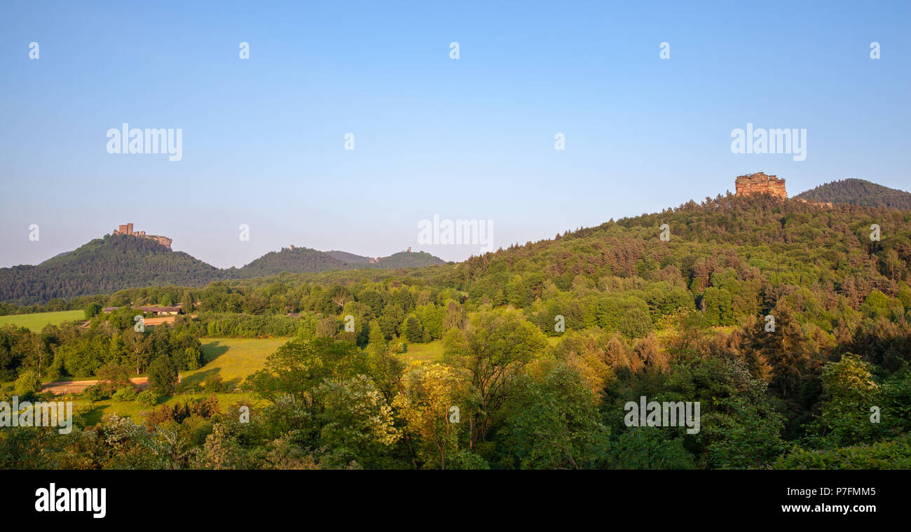Palatinate forest palatine forest hi-res stock photography and images ...