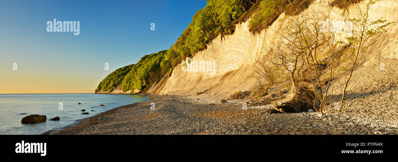 Baltic Sea with chalk cliffs in the morning light, pebble beach, Jasmund National Park, Rügen Island Stock Photo