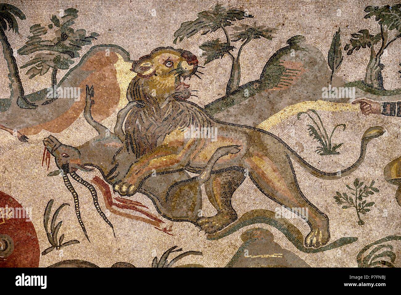 Floor mosaic of a lion tearing an antelope, corridor of the great hunt, Villa Romana del Casale, 4th century AD Roman villa Stock Photo