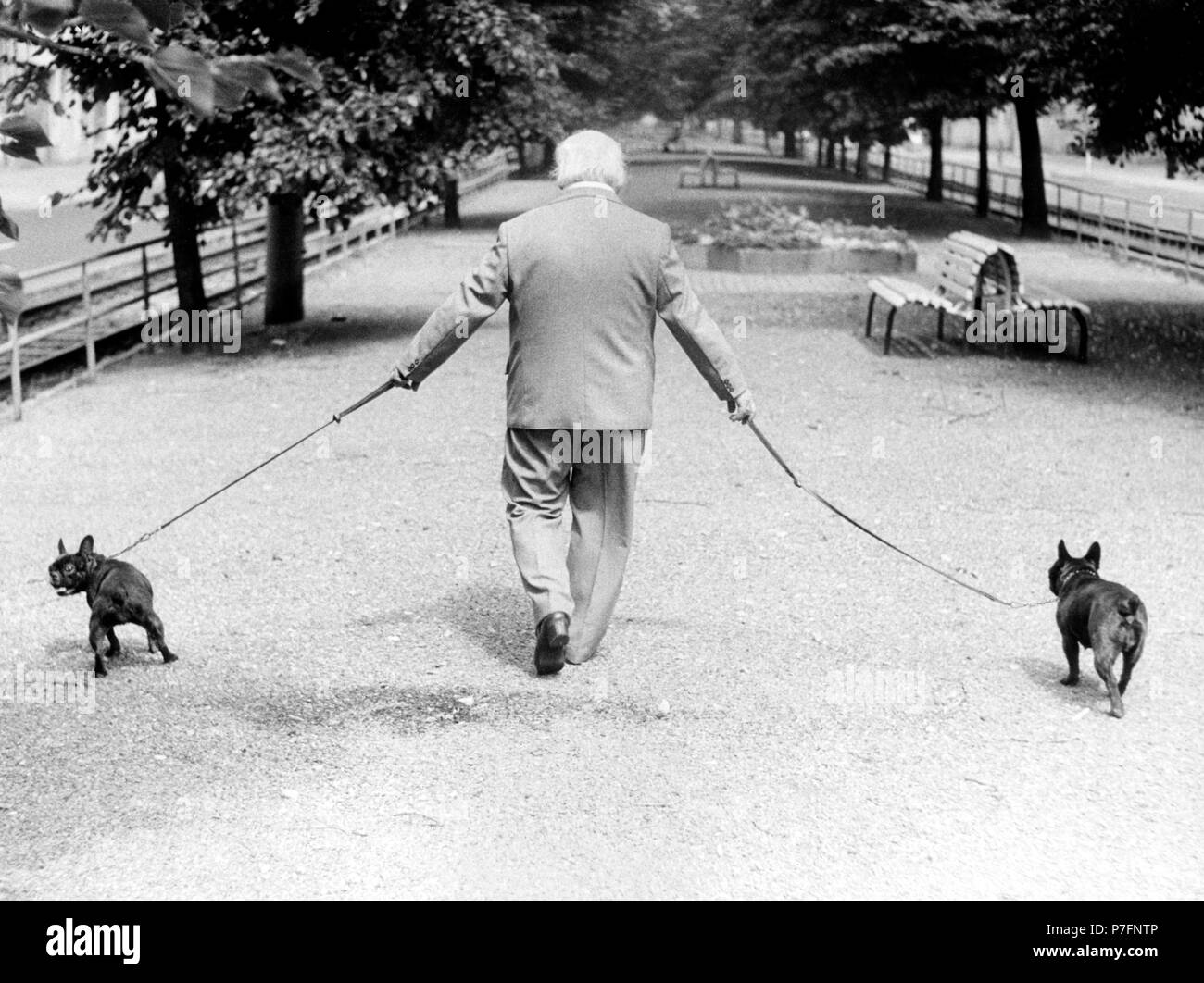 Man with two dogs, ca. 1980s, East Berlin, GDR, Germany Stock Photo