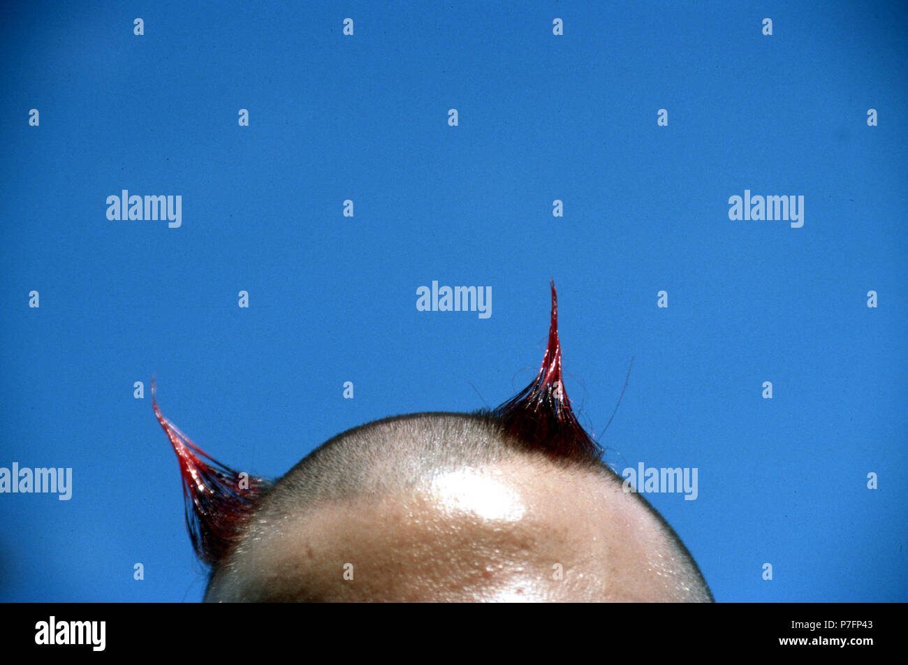 Two horns of hair, devil, hairstyle, Berlin, Germany Stock Photo