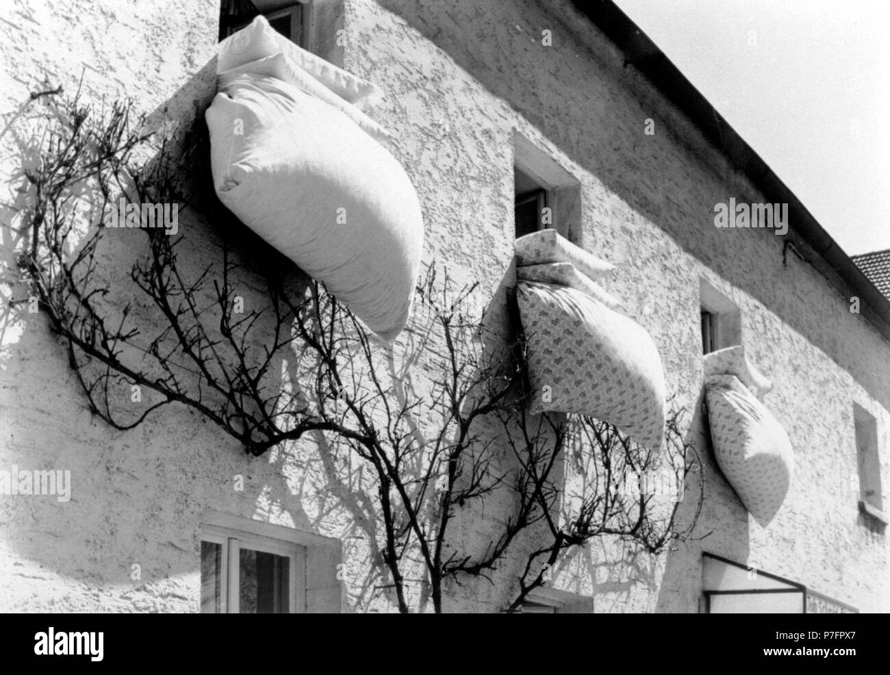 Bedding hanging from three windows for airing, ca. 1960s, Berlin