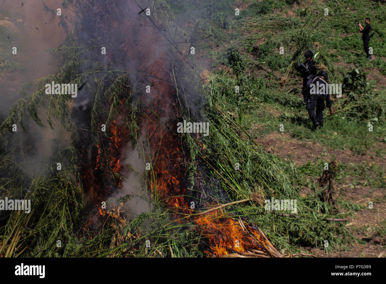 Burnt Weed High Resolution Stock Photography and Images - Alamy