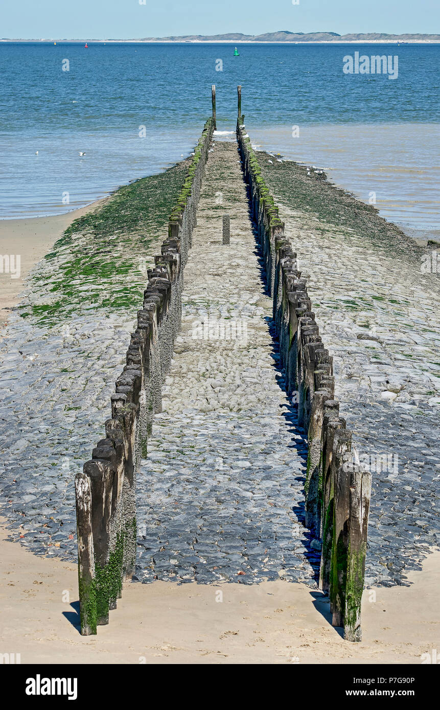 Two lines of weathered wooden poles on a basalt breakwateron the beach